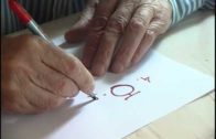 დ – დონის განმარტება