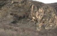 58.  კლდის ქვეყანა – 7 წთ.